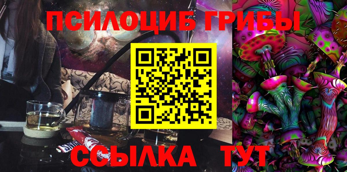 Татарск  Галлюциногенные грибы Psilocybine cubensis  Вход с VPN 