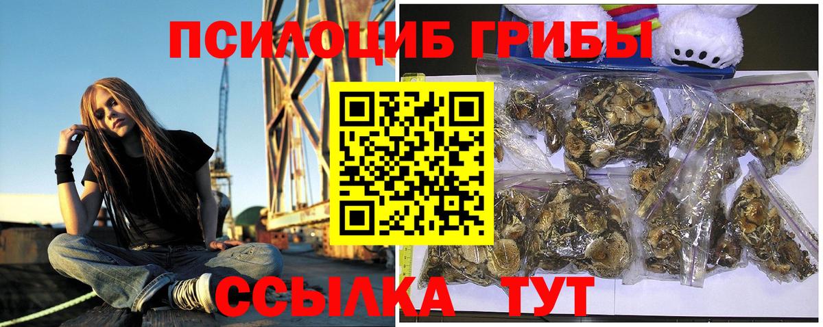 Галлюциногенные грибы Cubensis Татарск